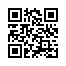 QR CODE 310