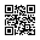 QR CODE 316