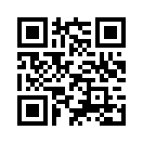 QR CODE 393