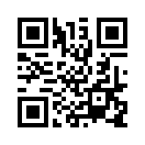 QR CODE 394