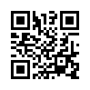 QR CODE 441