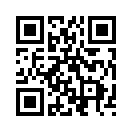 QR CODE 445