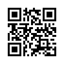 QR CODE 461
