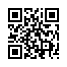 QR CODE 462