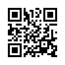 QR CODE 463