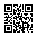 QR CODE 503