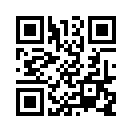 QR CODE 513