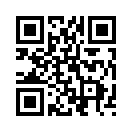 QR CODE 529