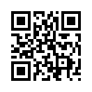 QR CODE 538