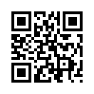 QR CODE 541