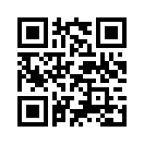 QR CODE 561