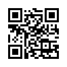 QR CODE 325