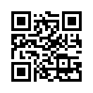 QR CODE 394