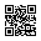 QR CODE 408