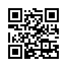 QR CODE 445
