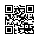 QR CODE 446