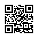 QR CODE 461