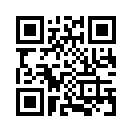 QR CODE 133