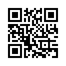 QR CODE 16