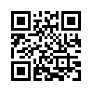 QR CODE 196