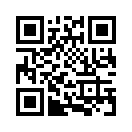 QR CODE 309