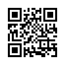 QR CODE 310