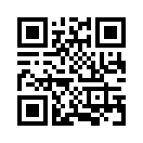 QR CODE 343