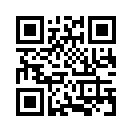 QR CODE 344