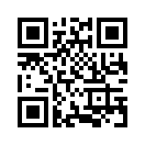 QR CODE 380