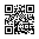 QR CODE 381