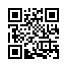 QR CODE 385