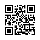 QR CODE 386