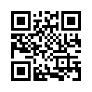 QR CODE 390