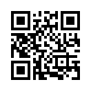 QR CODE 416