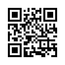 QR CODE 430