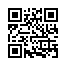 QR CODE 461