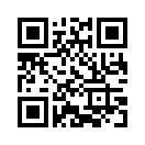QR CODE 490