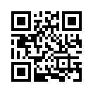 QR CODE 491