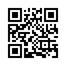 QR CODE 493