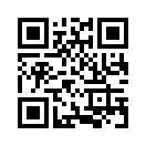QR CODE 500