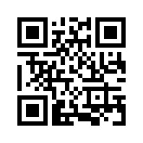 QR CODE 502