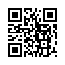 QR CODE 51