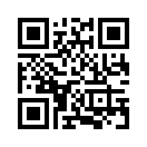 QR CODE 527