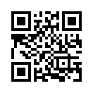 QR CODE 537