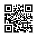 QR CODE 538