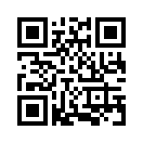 QR CODE 542