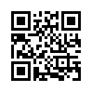 QR CODE 543