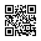 QR CODE 544