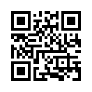 QR CODE 566