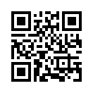QR CODE 584